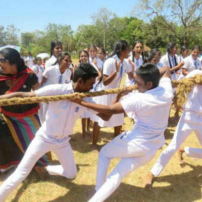 අවුරුදු උත්සවය 2019 101